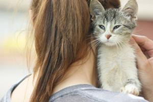 Прикачена снимка