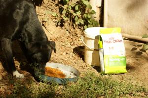 Прикачена снимка