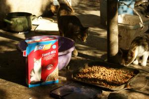 Прикачена снимка