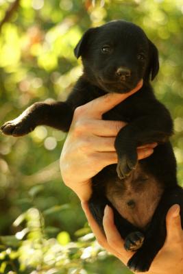 Прикачена снимка