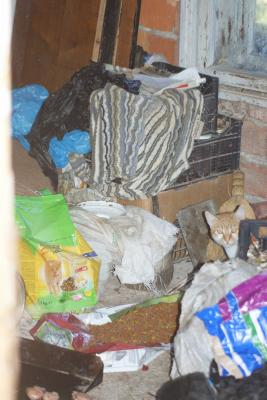 Прикачена снимка