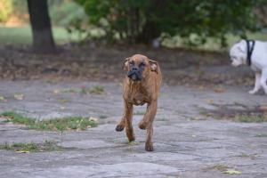 Прикачена снимка
