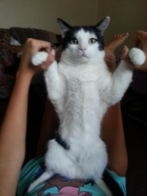 Прикачена снимка