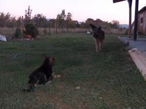 Прикачена снимка