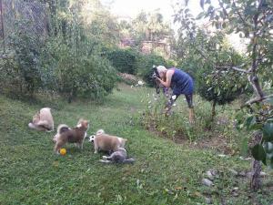 Прикачена снимка