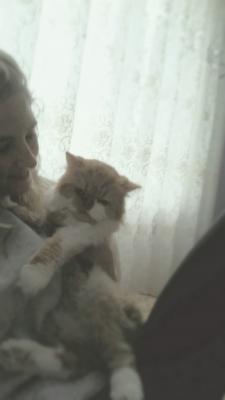 Прикачена снимка