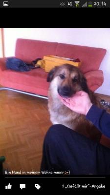 Прикачена снимка