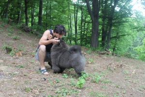 Прикачена снимка