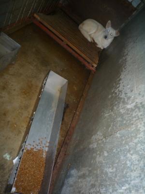 Прикачена снимка