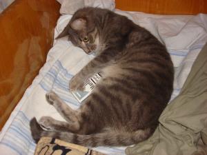 Прикачена снимка