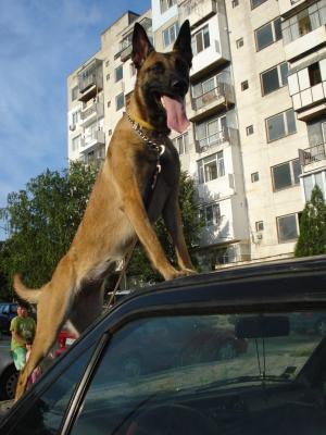 Прикачена снимка