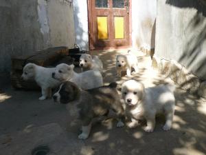 Прикачена снимка