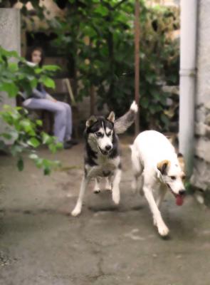 Прикачена снимка