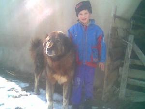 Прикачена снимка