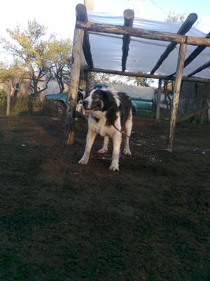 Прикачена снимка