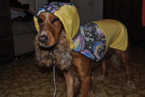 Прикачена снимка