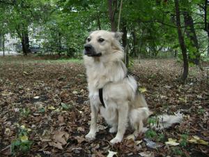 Прикачена снимка