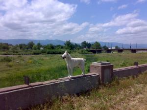 Прикачена снимка