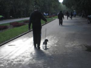 Прикачена снимка