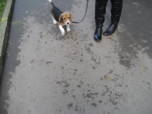 Прикачена снимка