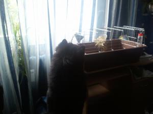 Прикачена снимка