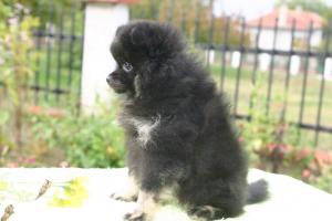 Прикачена снимка