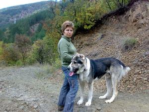 Прикачена снимка