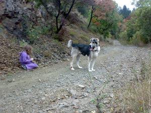 Прикачена снимка