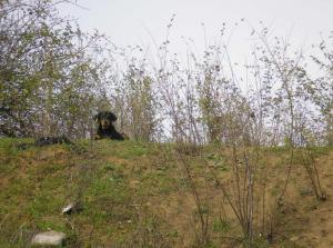 Прикачена снимка