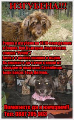 Прикачена снимка
