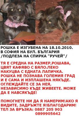 Прикачена снимка