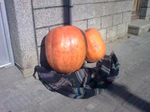 Прикачена снимка