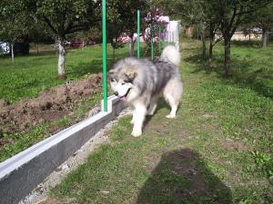 Прикачена снимка