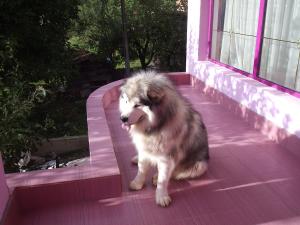 Прикачена снимка