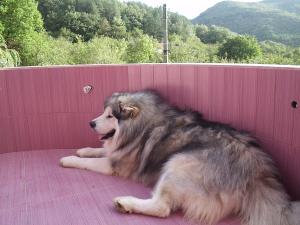Прикачена снимка