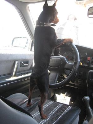 Прикачена снимка