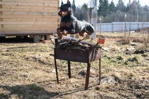 Прикачена снимка