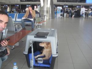 Прикачена снимка