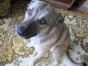 Прикачена снимка