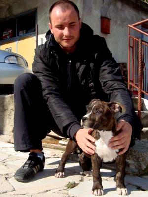 Прикачена снимка