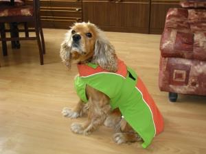 Прикачена снимка