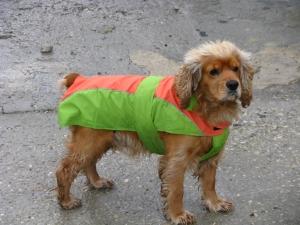 Прикачена снимка