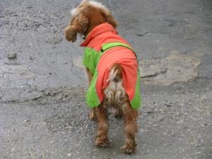 Прикачена снимка