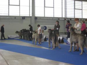 Прикачена снимка