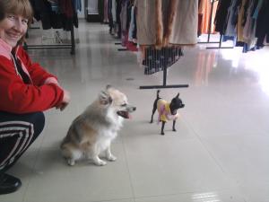 Прикачена снимка