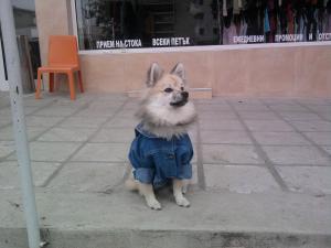 Прикачена снимка