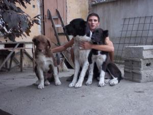 Прикачена снимка