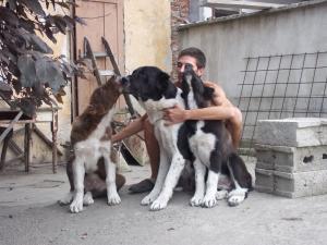 Прикачена снимка