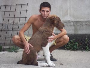 Прикачена снимка