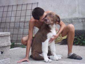 Прикачена снимка